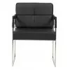 DG-HOME Кресло Aster Chair Black Leather