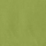 Verona Apple green